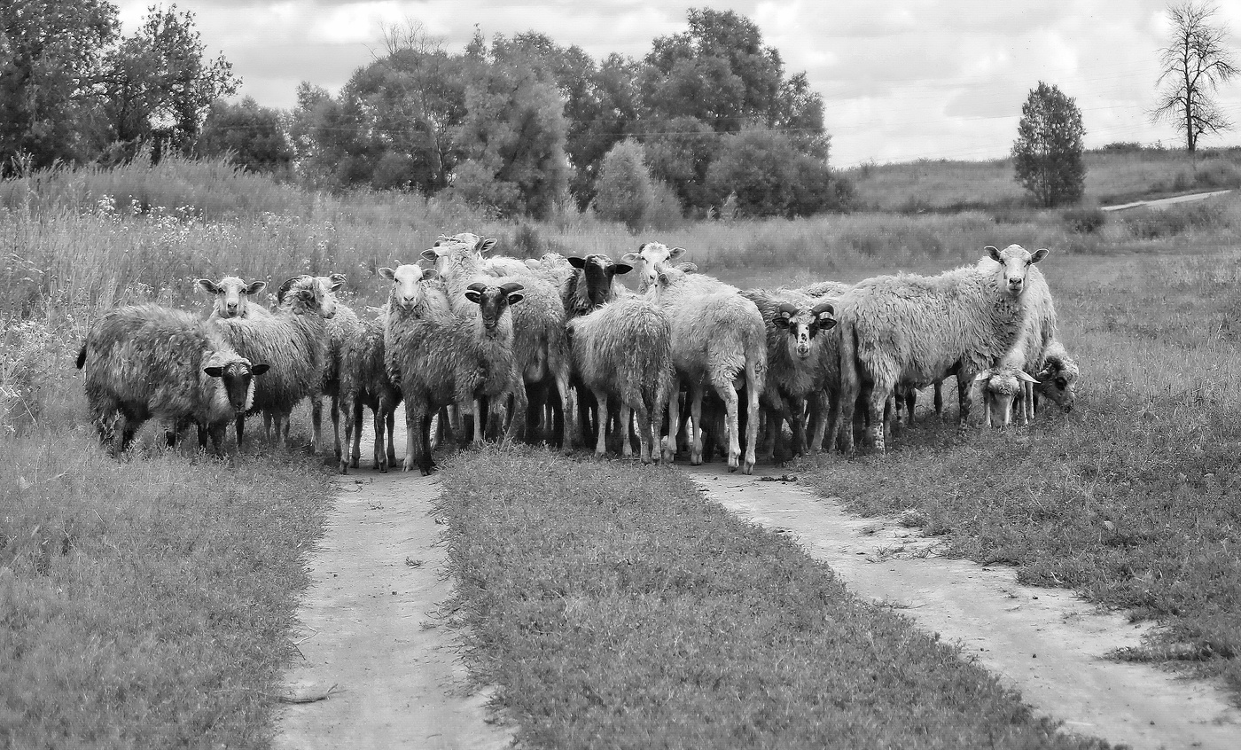 Вместе по-разному.