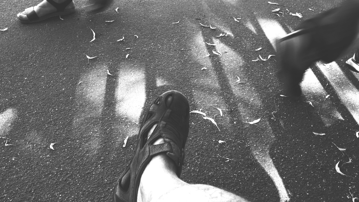 Жизнь вокруг