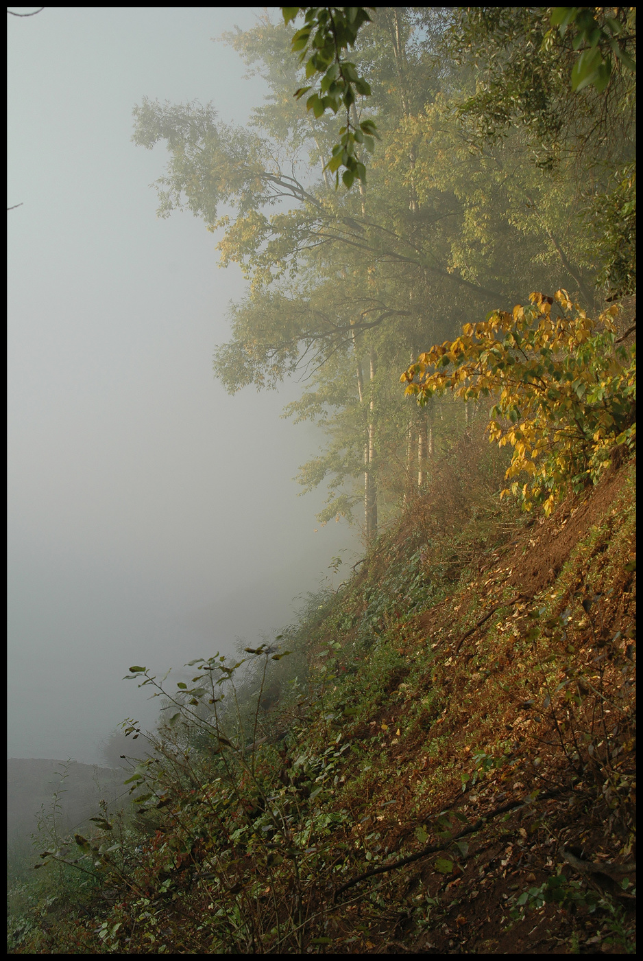 Утро туманное