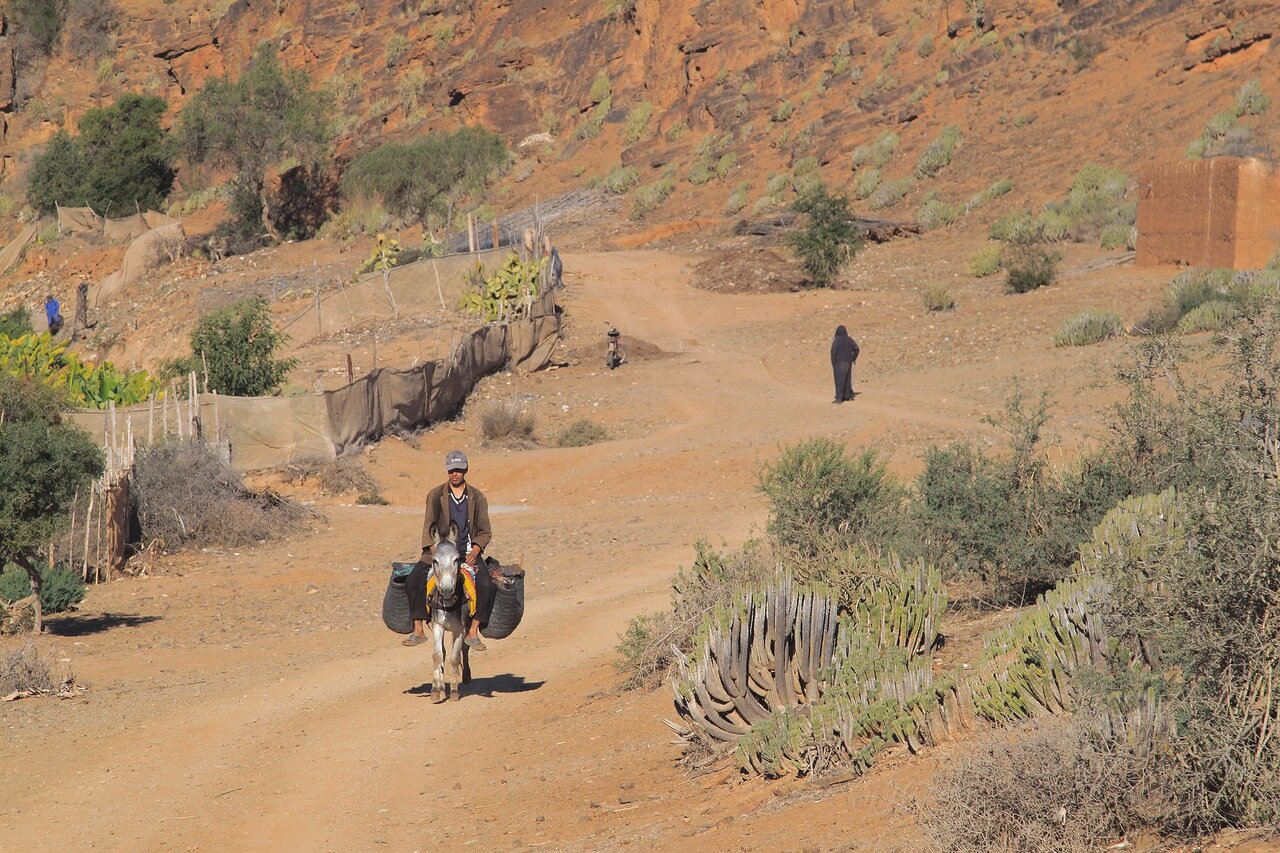 Жаркий день