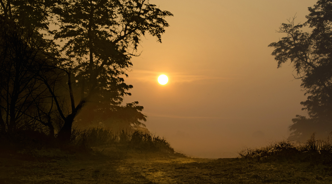 Вот и солнце встаёт..