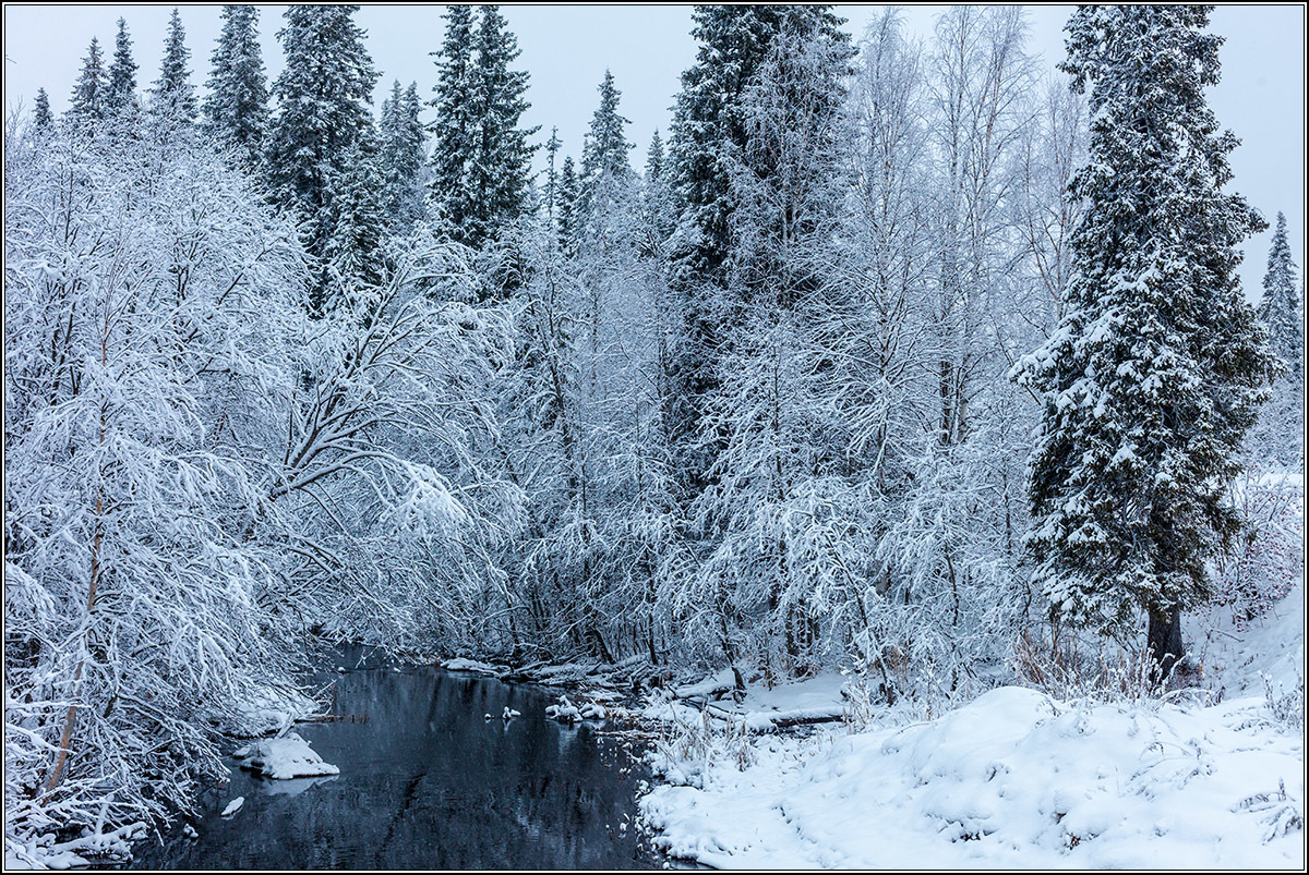 Зима в архангельских лесах.