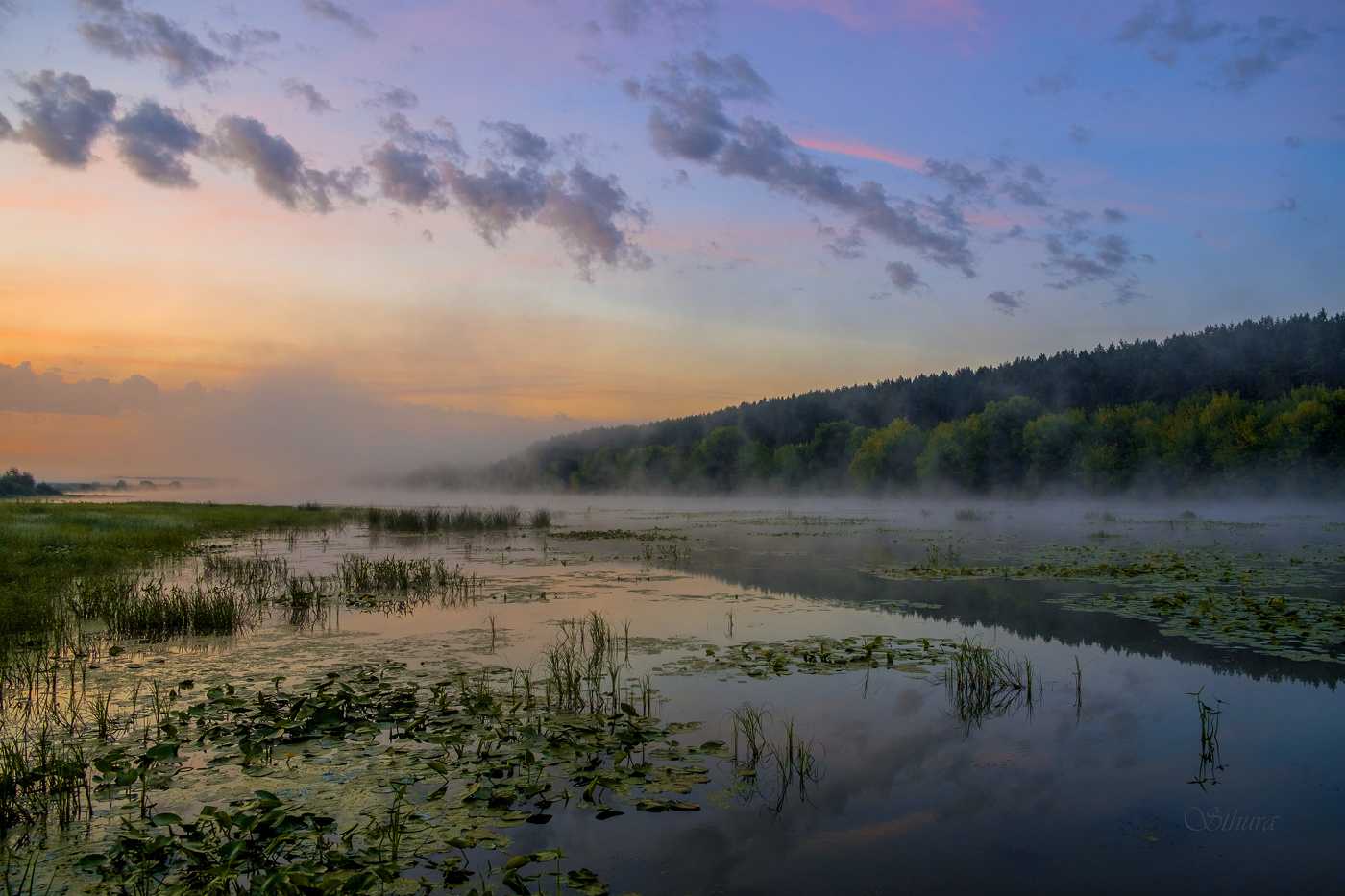 Летний пейзаж.