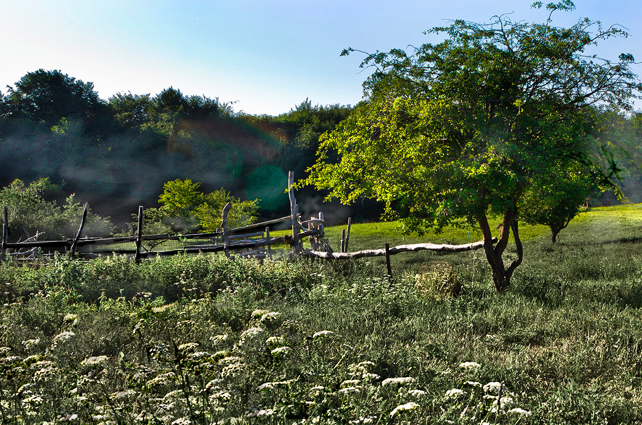Цветочная полянка