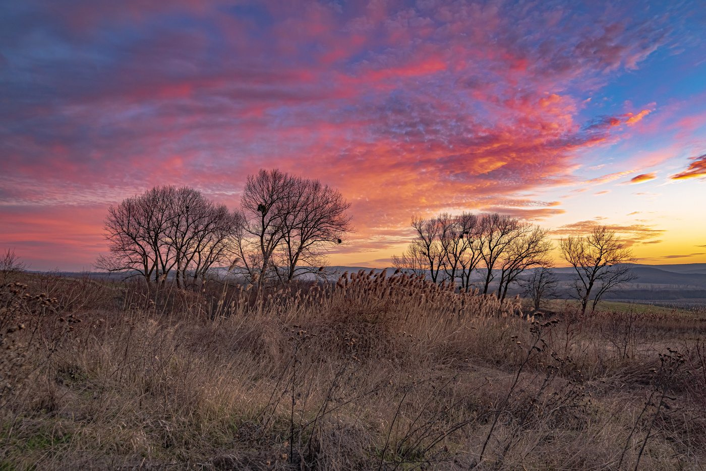 Вечерняя зорька
