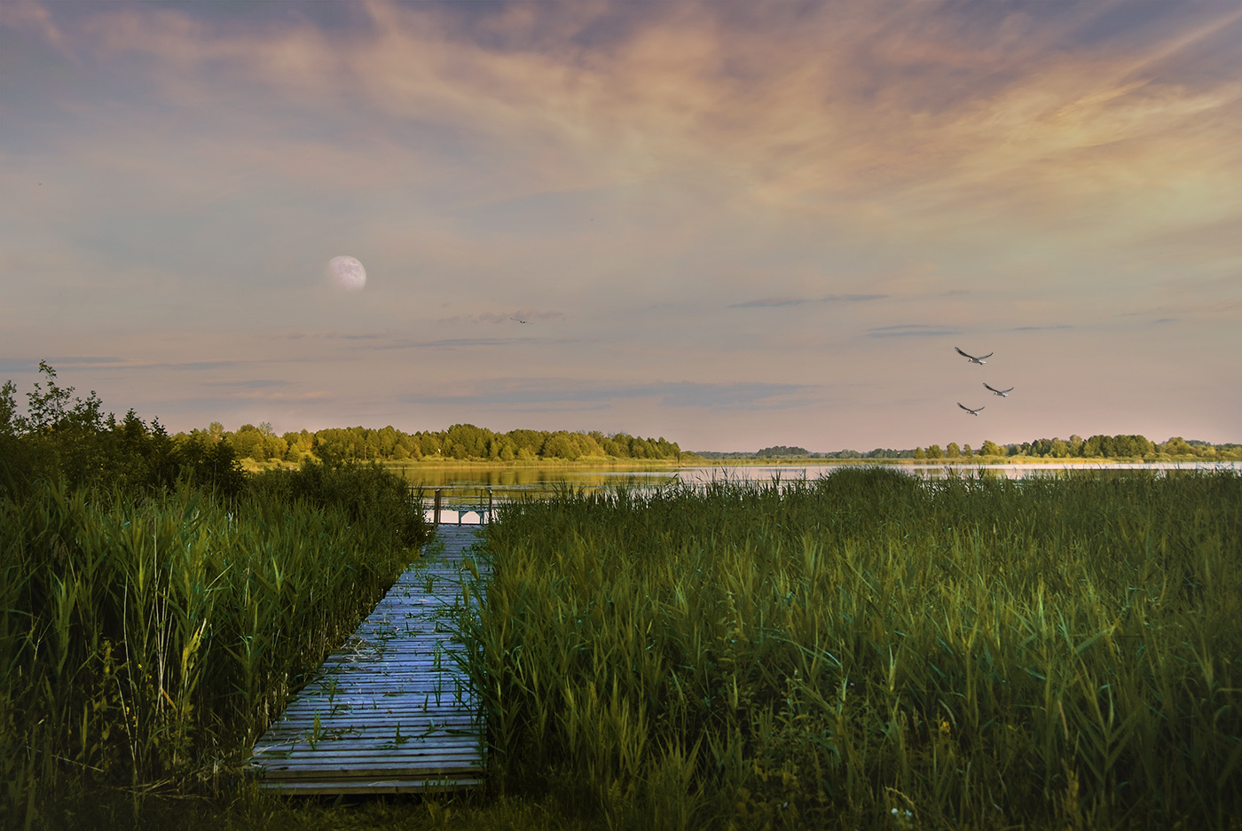 Тихое место