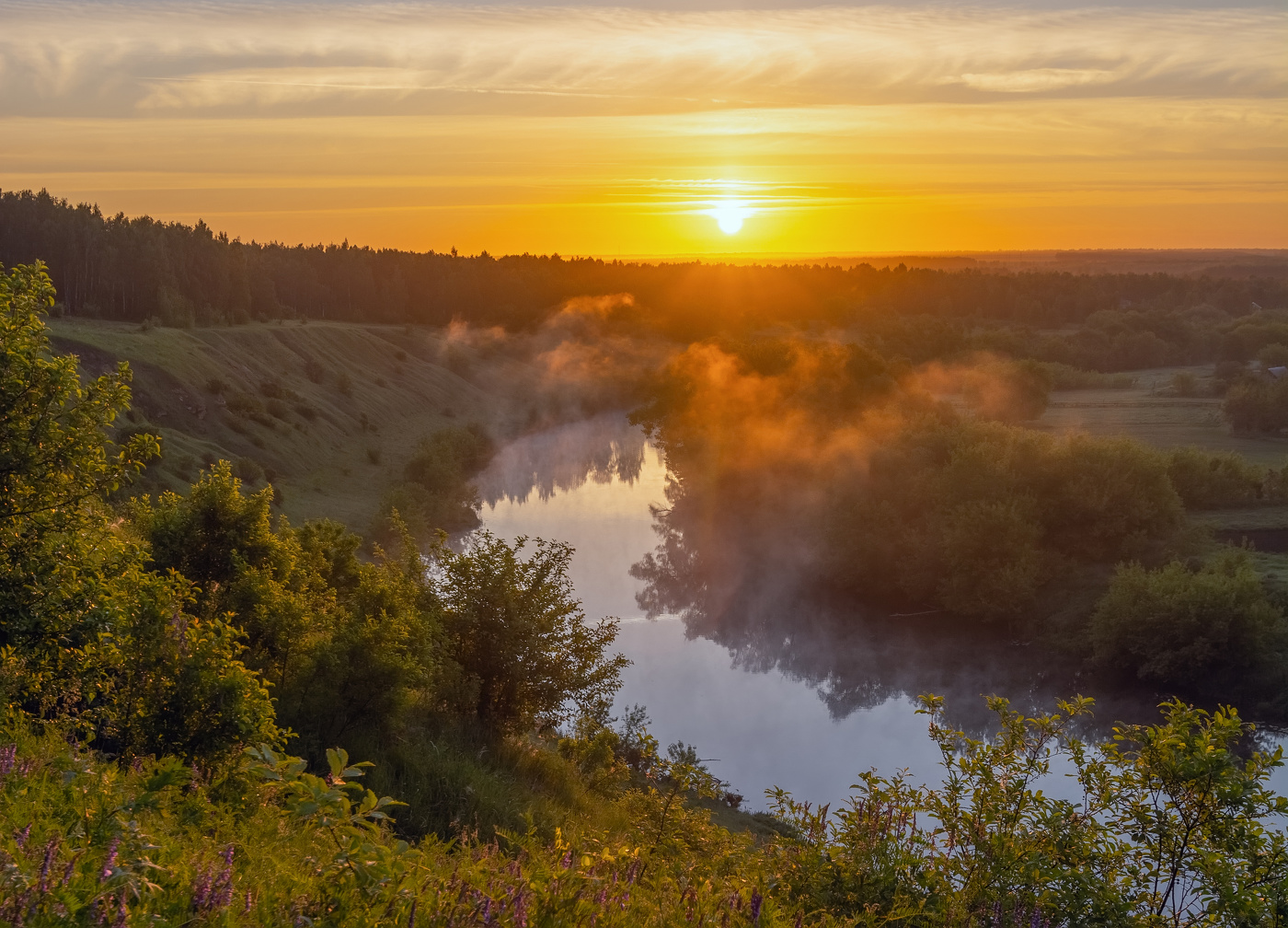 пригревает