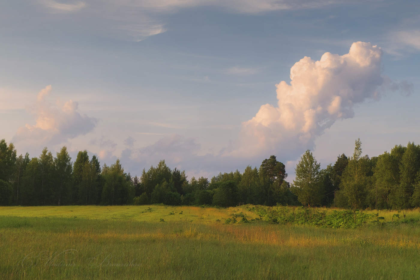Под небом голубым