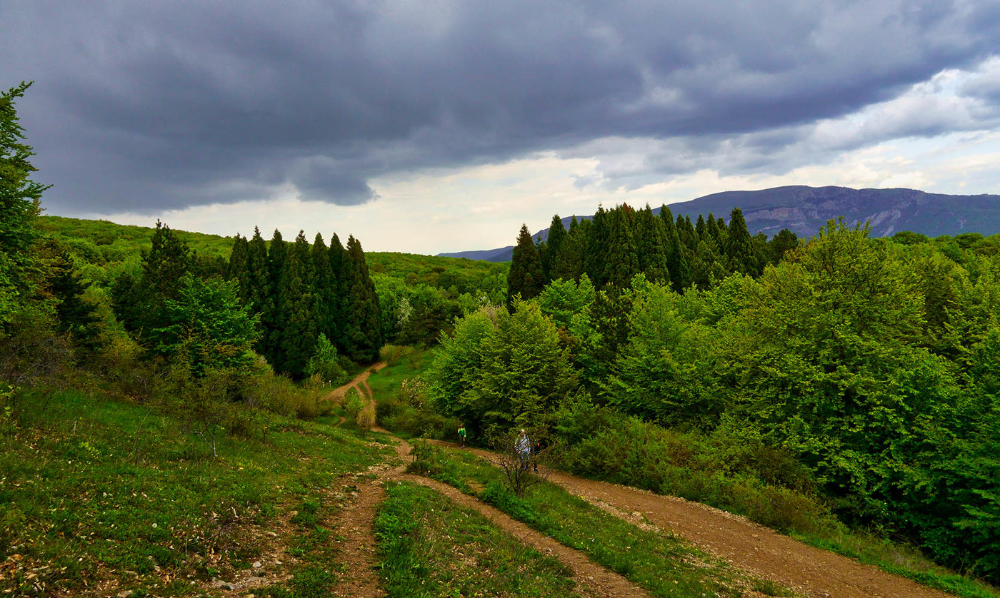 На ююжных склонах Чатыр-Дага