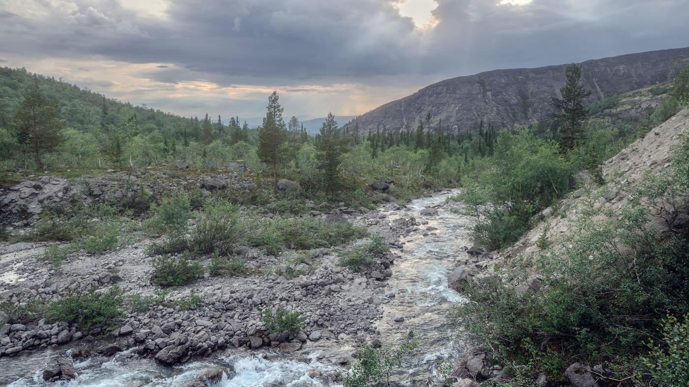 После дождя