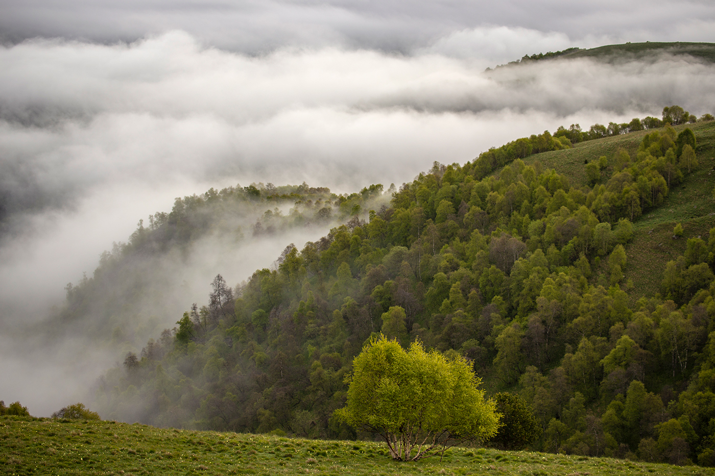 Среди облаков