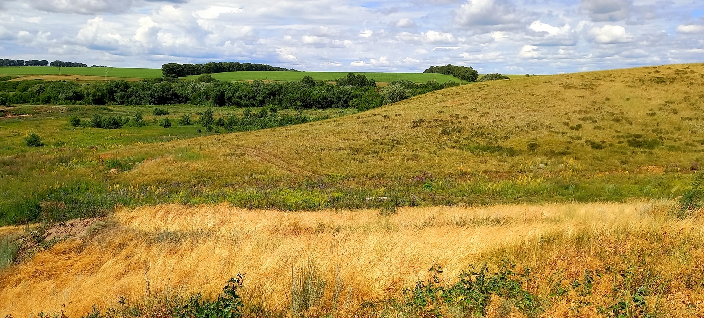 степные просторы