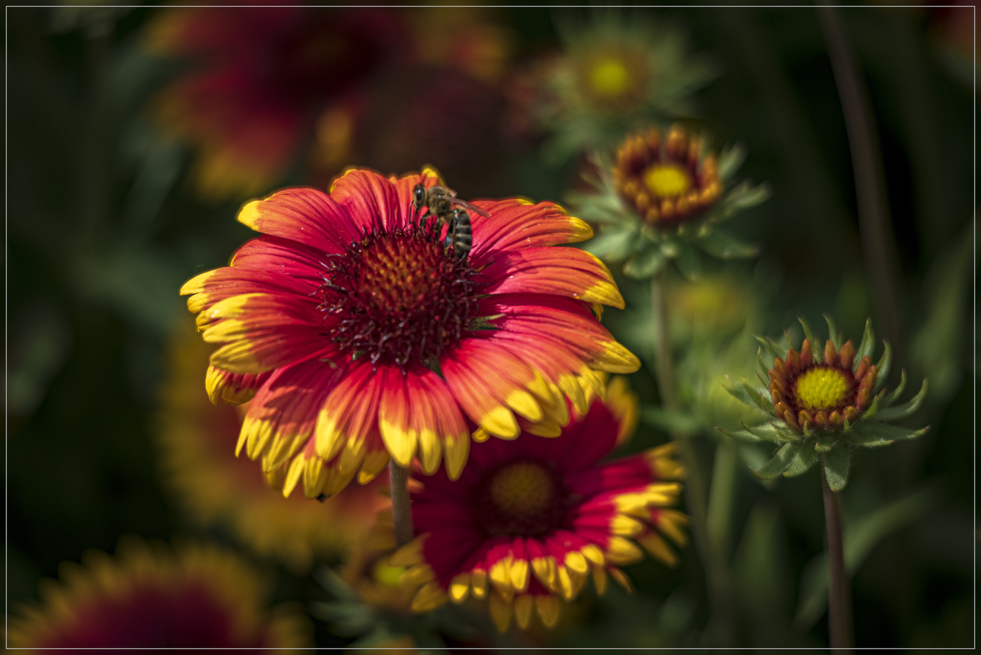 Трудовые будни