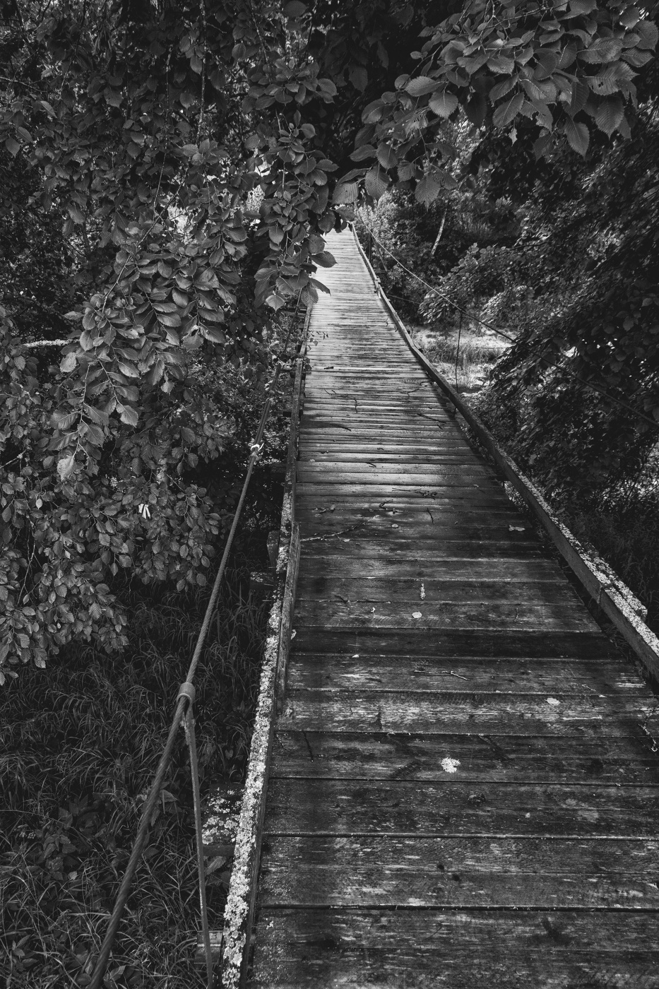 Жизнь вокруг