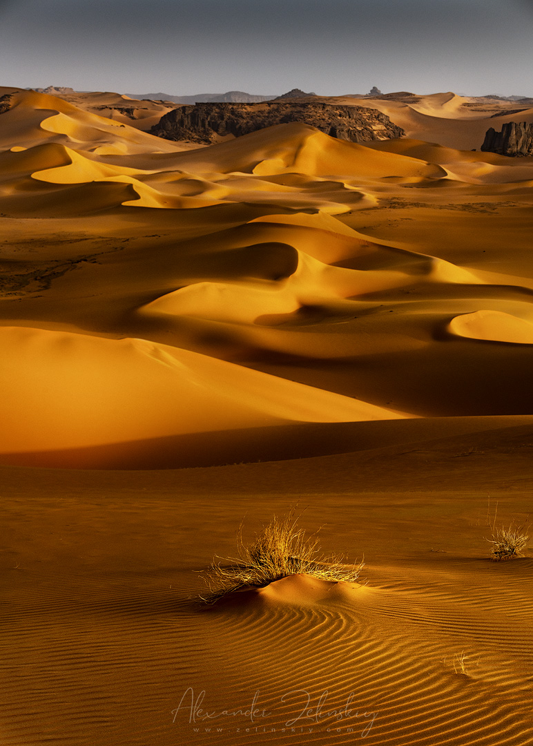 Фактуры и линии