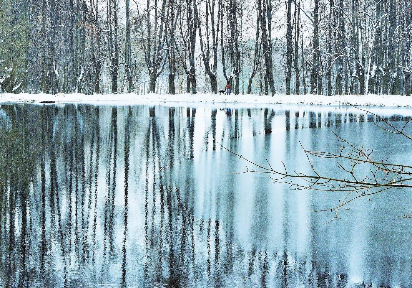 Ноябрь. Пошел первый снег ...