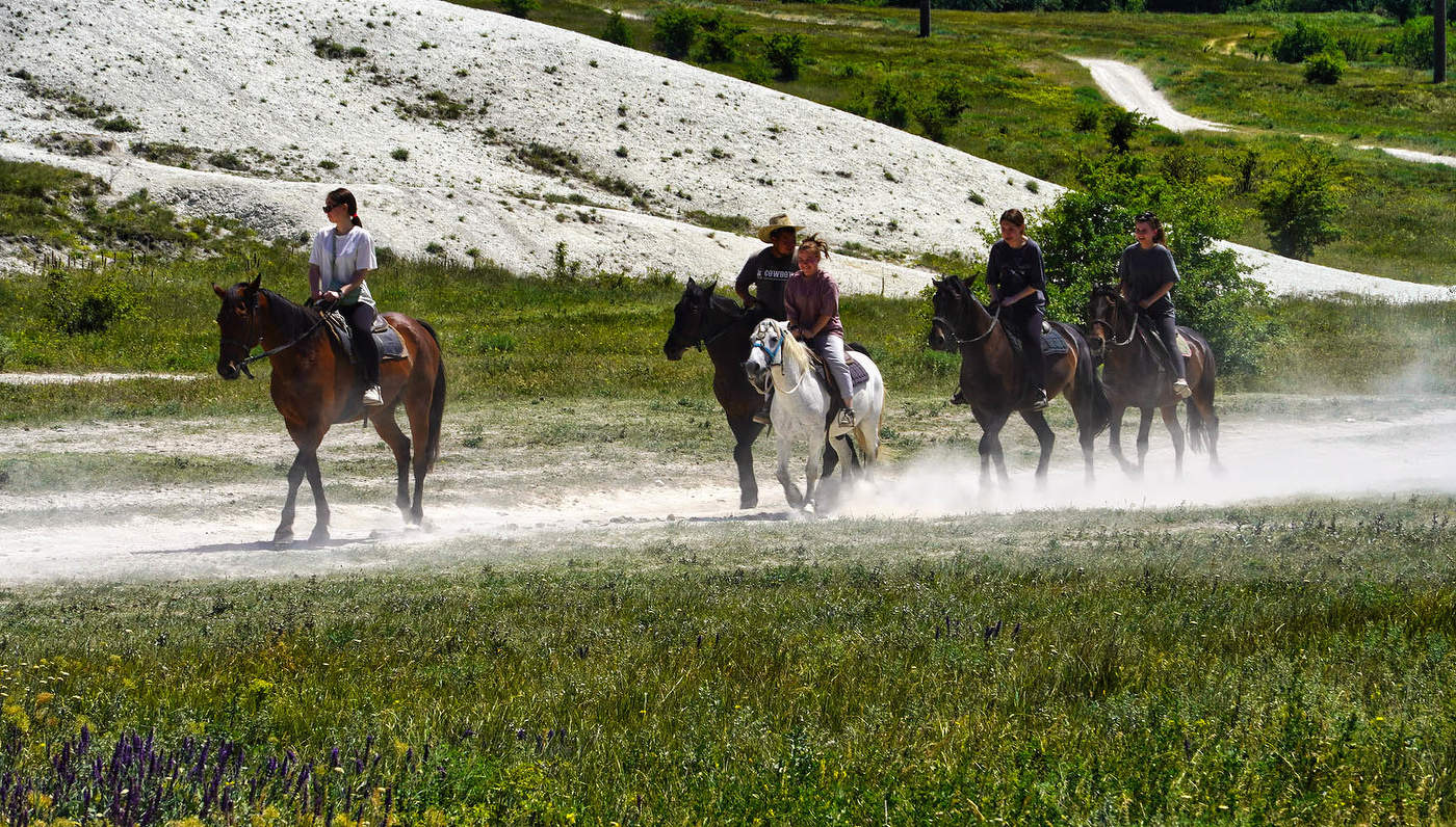 Только пыль из под копыт