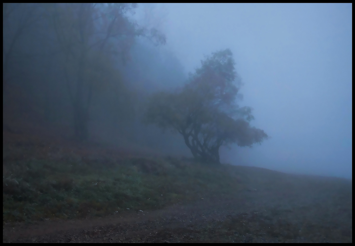 Утро туманное