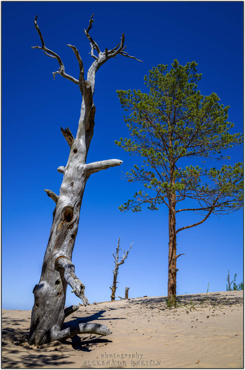 "Вот и я была такою...много лет тому назад..."