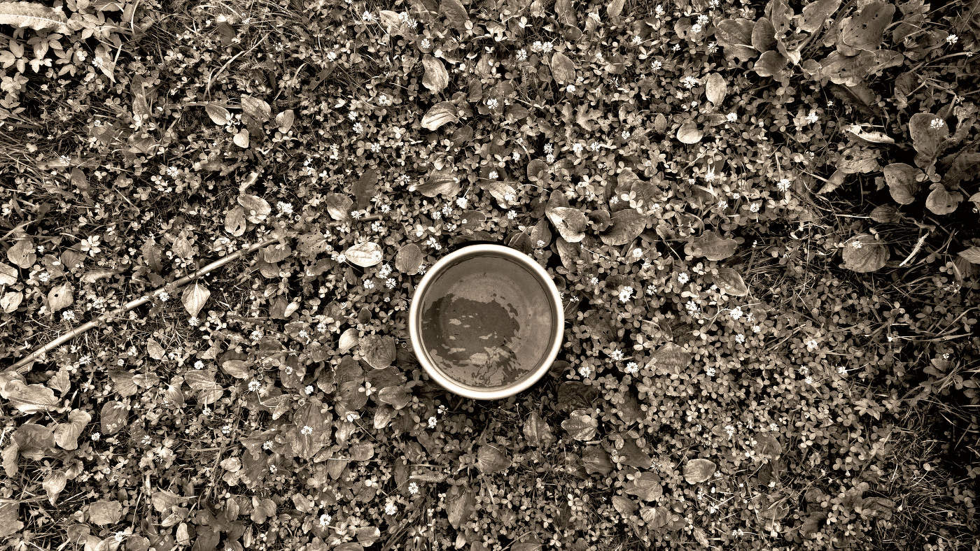 Жизнь вокруг