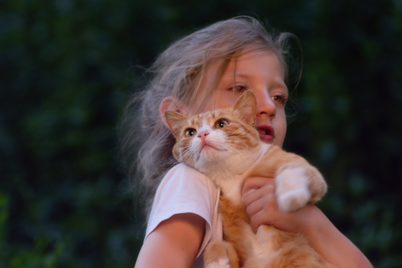 "Мы пойдем с котом..."