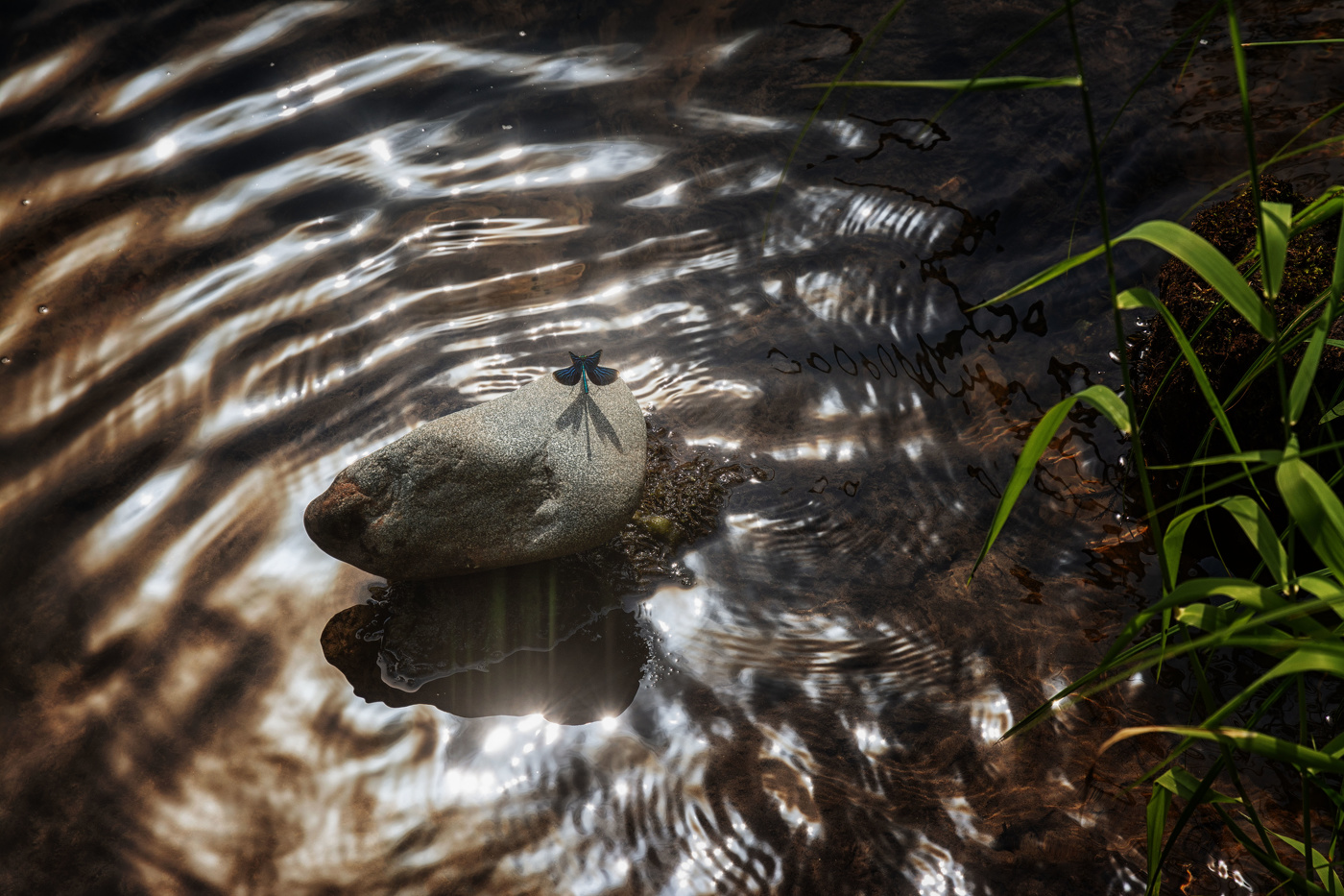 Жизнь вокруг