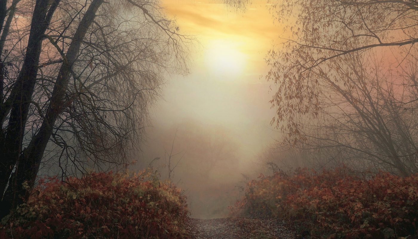 Рассвет в пастельных тонах.