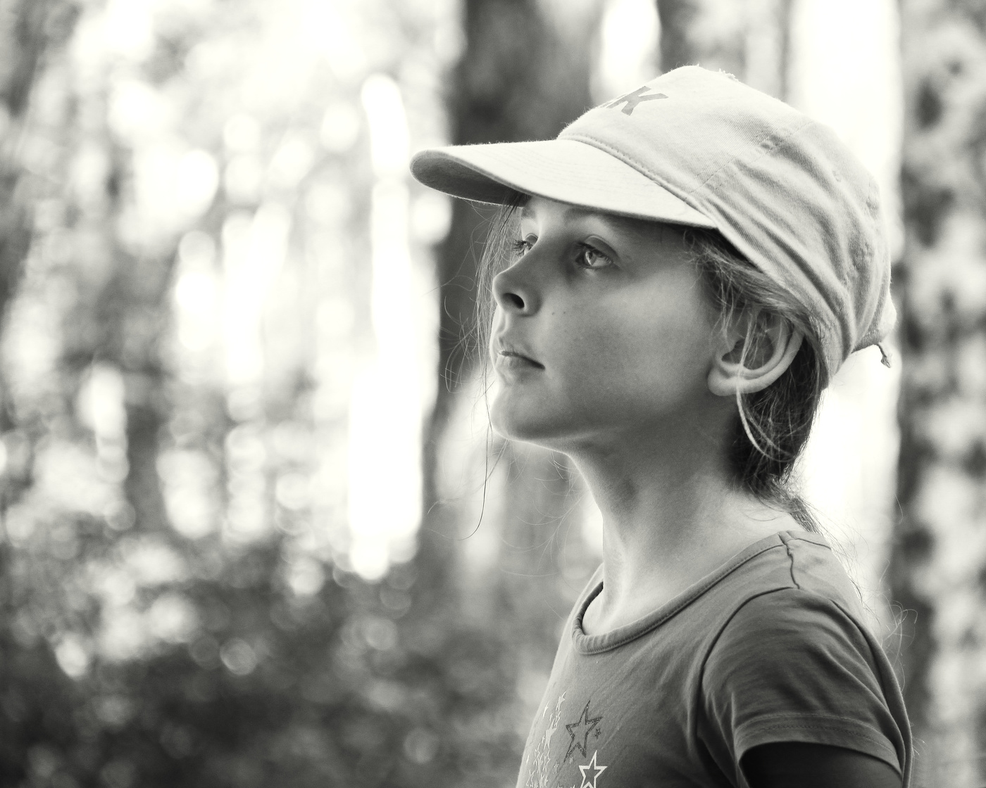 Утро в лесу