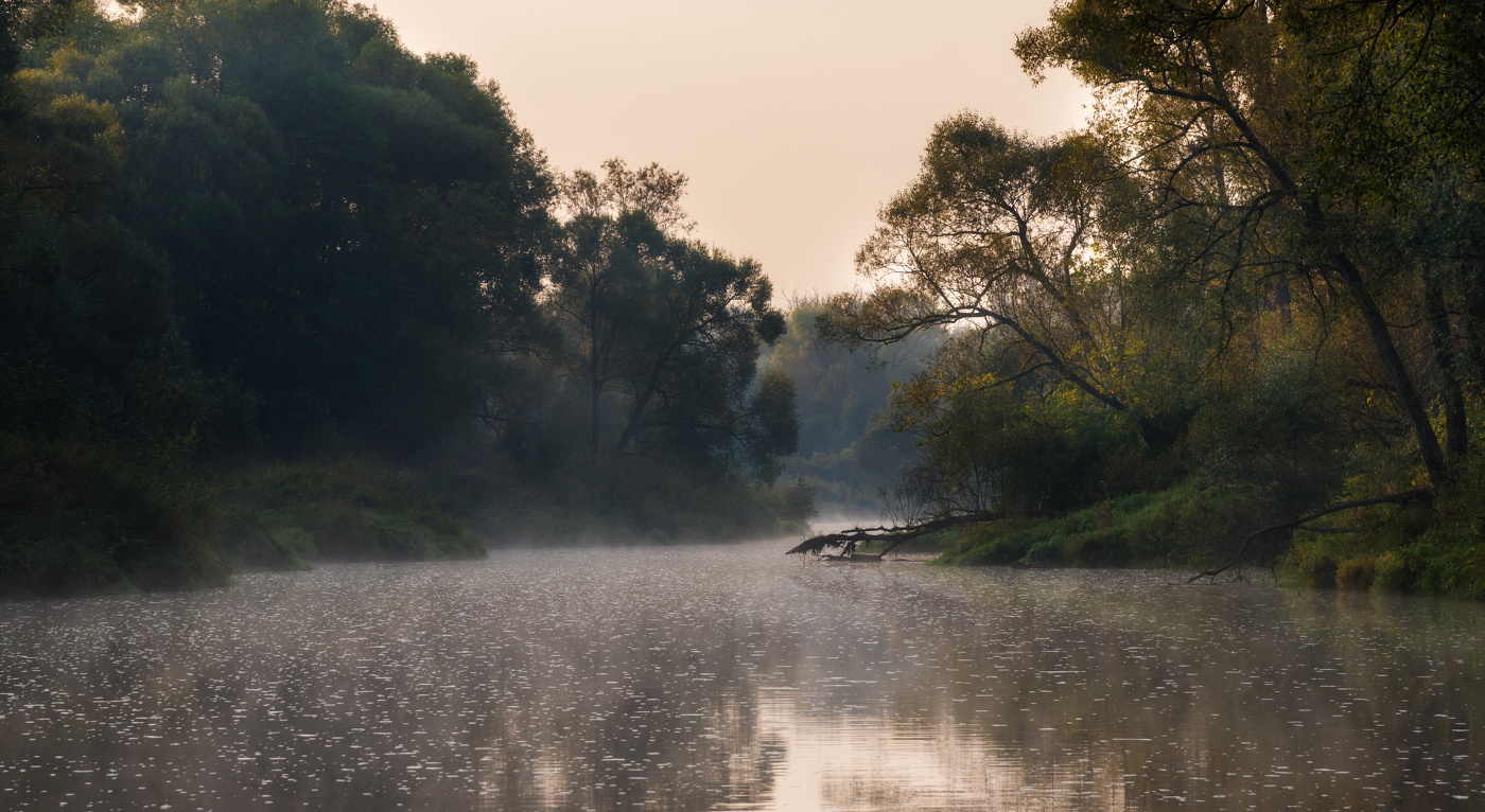 Речка укутана туманом и пухом...