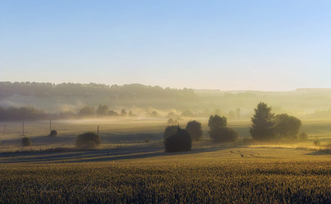 Долина туманов