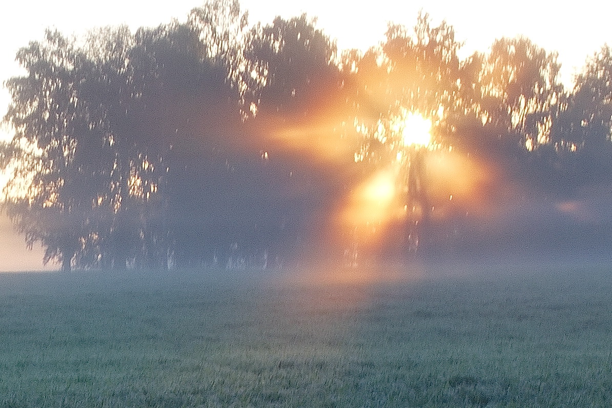 *Сквозь утренний туман.**