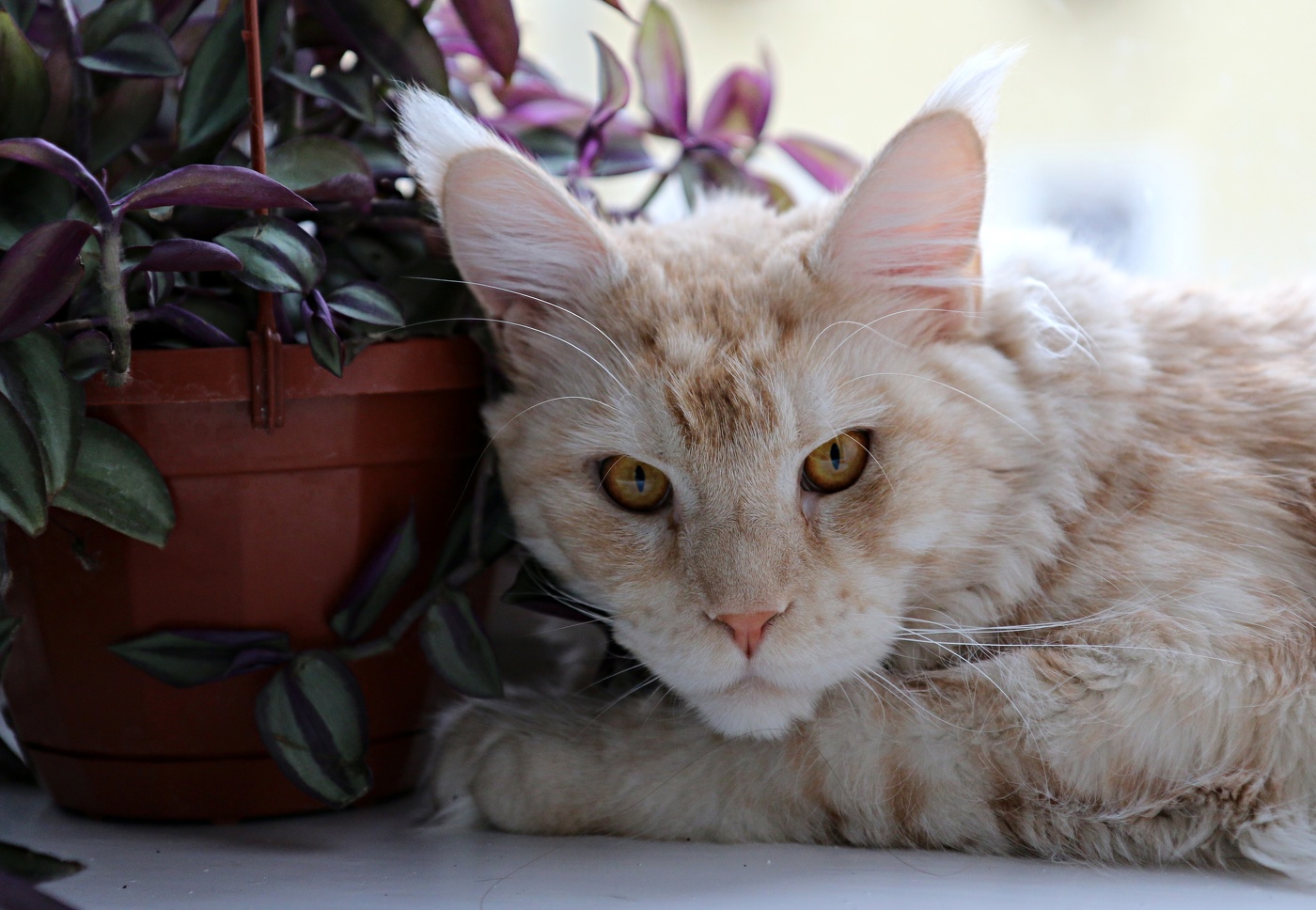 Не в настроении