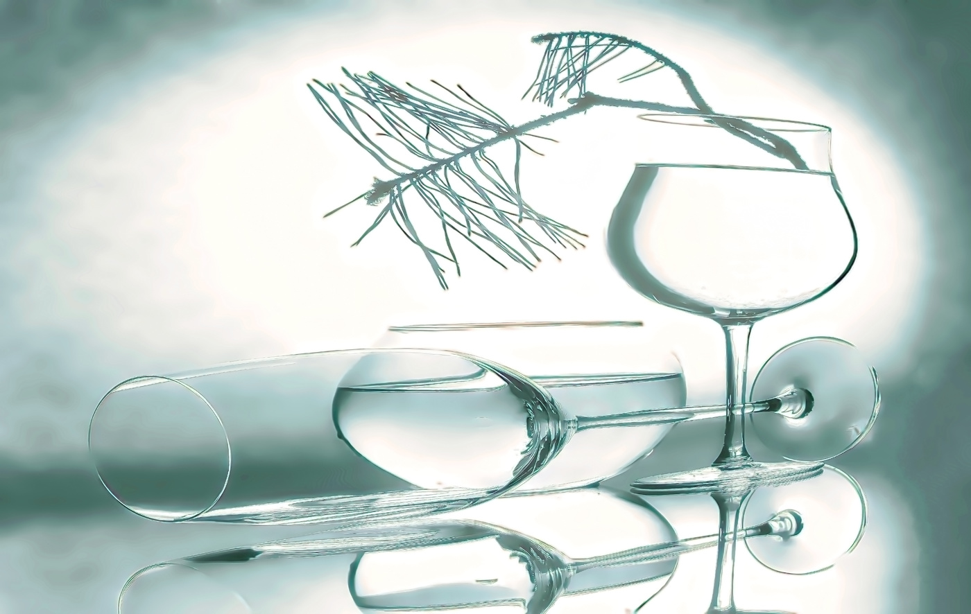 Ветка сосны.