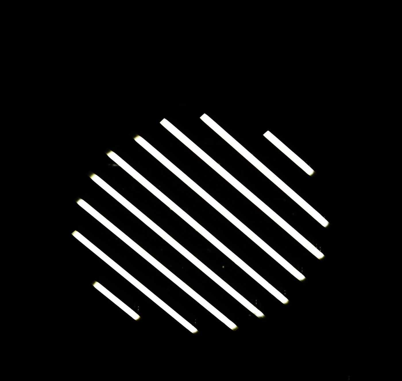 "Жизнь, как зебра: полоса - белая, полоса - черная..."