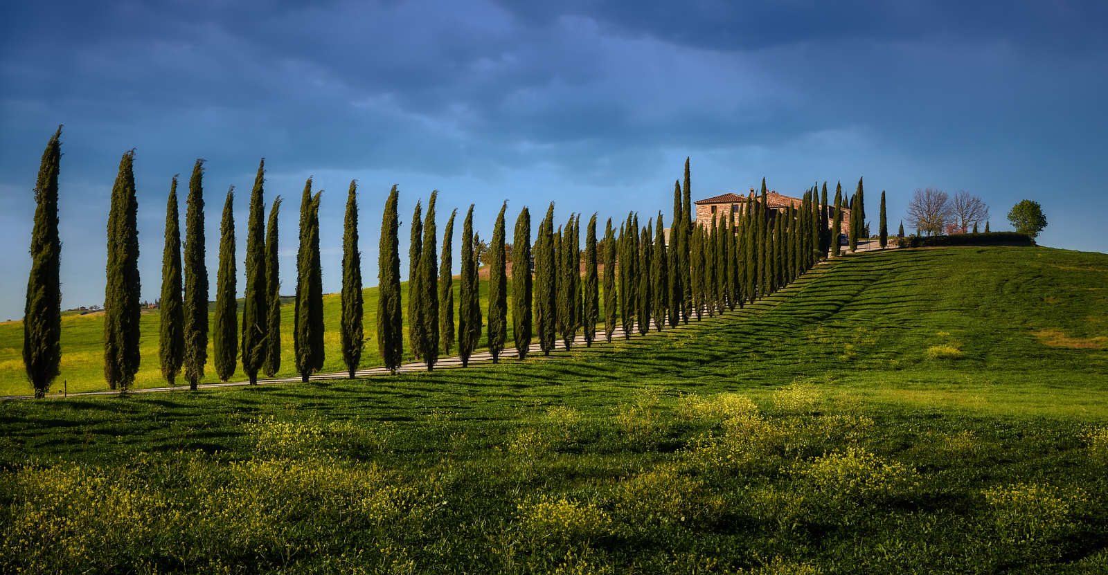 дорога к дому