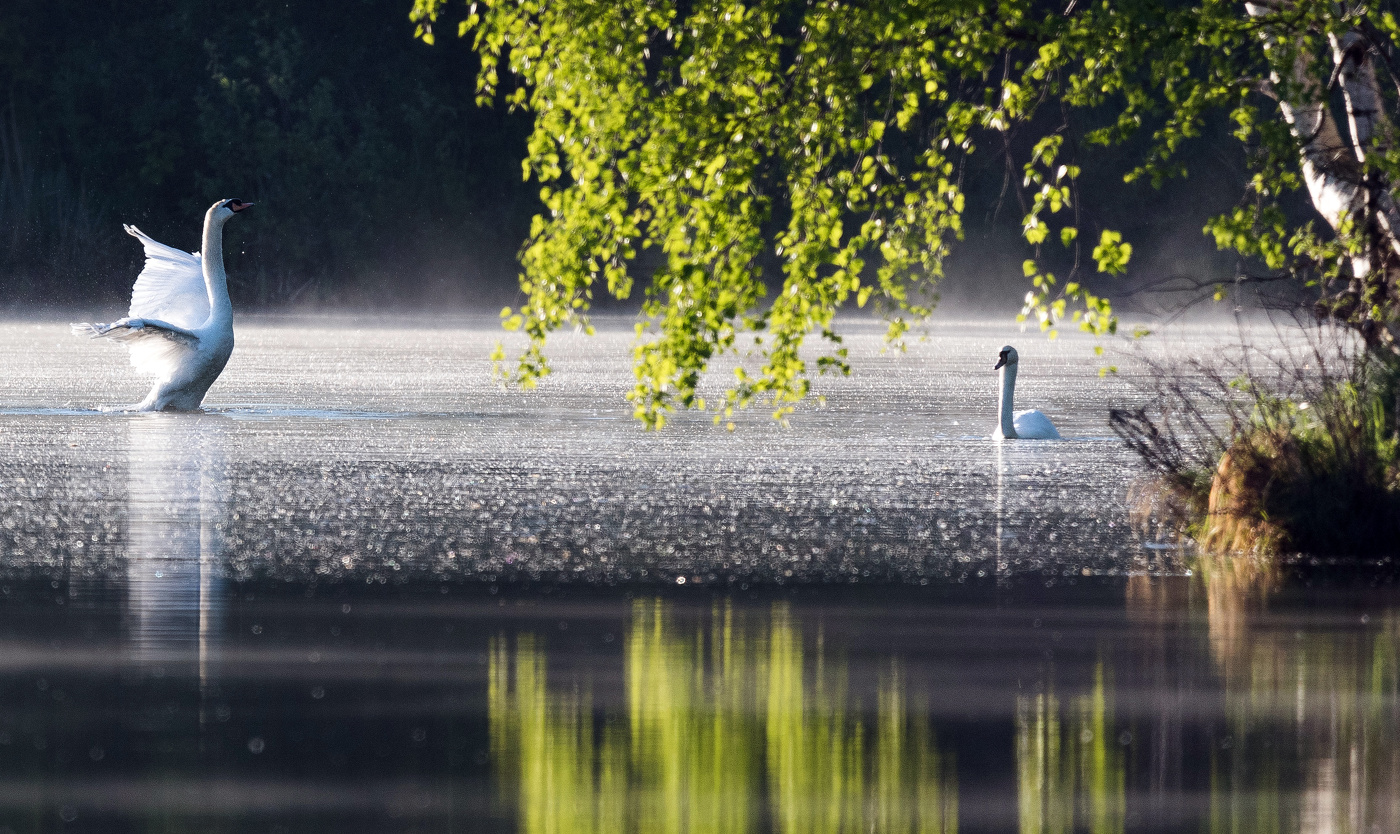 "Восторг любви нас ждет с тобою, не уходи, не уходи..."