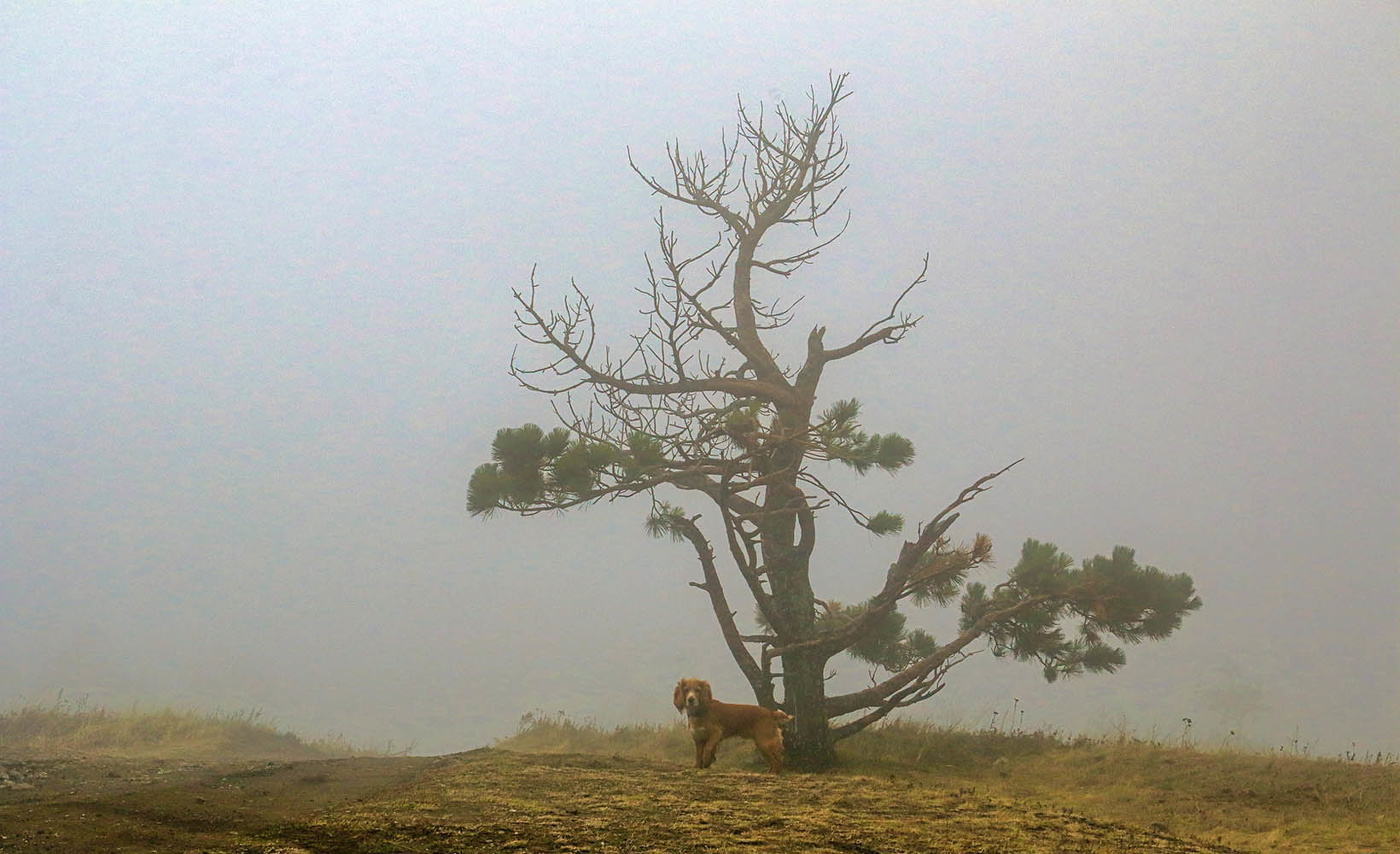 На вершине Южного Демерджи