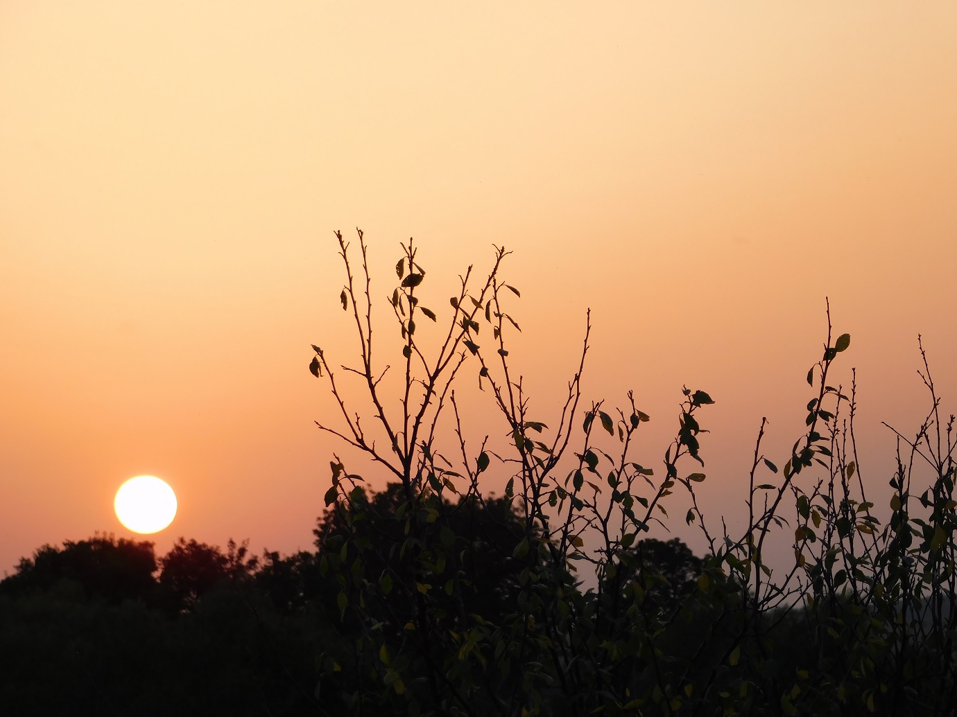 Солнечный пейзаж