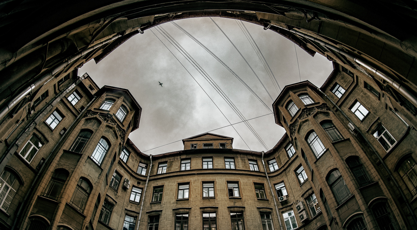 Провода и птица