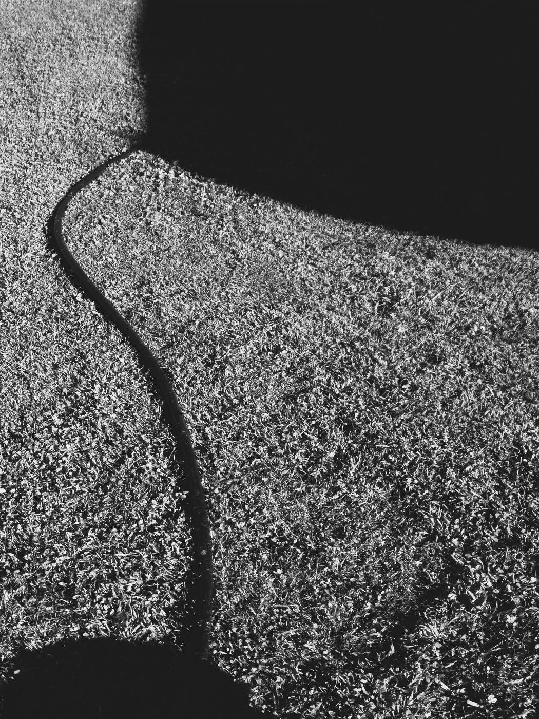 Жизнь вокруг