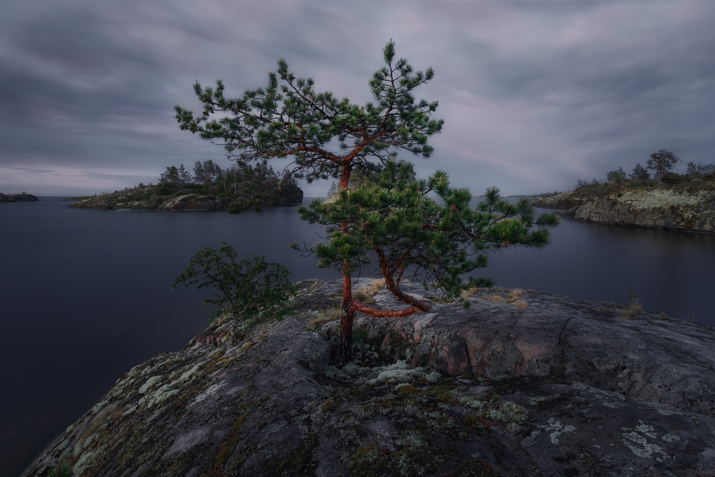 Фуэте, или Бонсай по-ладожски
