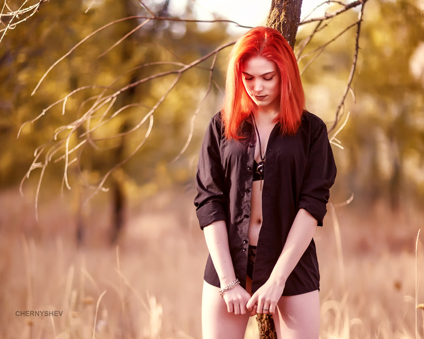 из альбома "логика листьев".