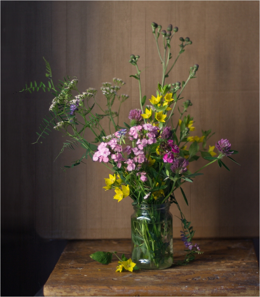 Blumen auf dem Felde