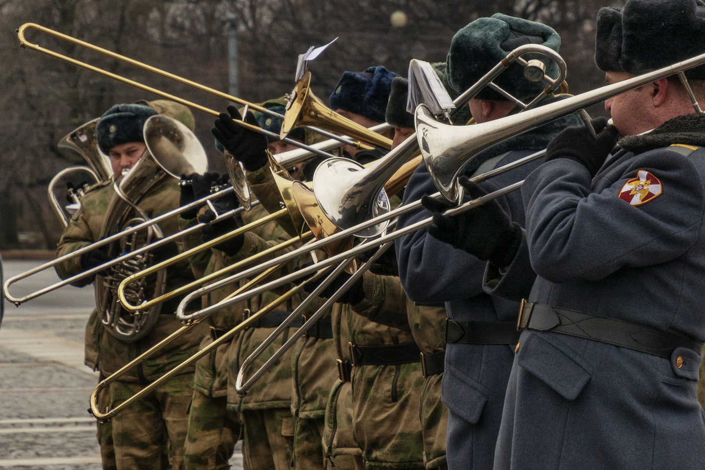 Жизнь вокруг