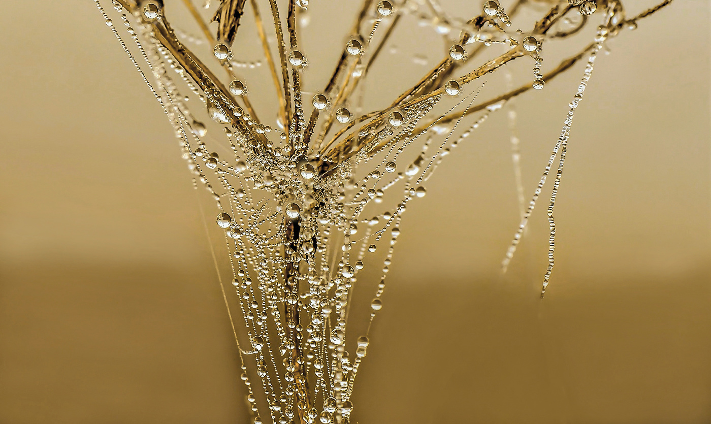 Разбросала мать-природа бриллианты, жемчуга.