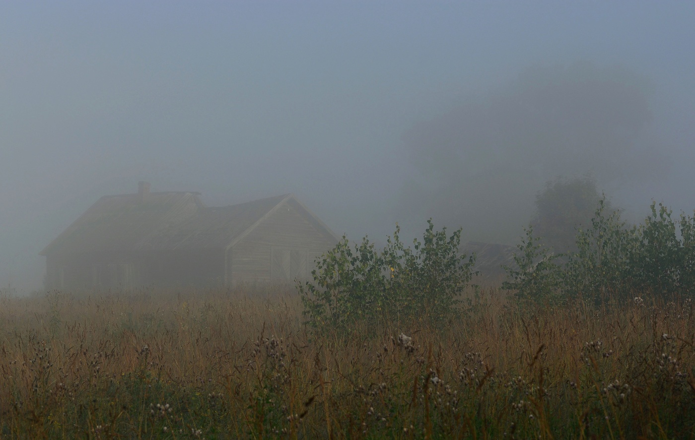 День начинался с тумана ...