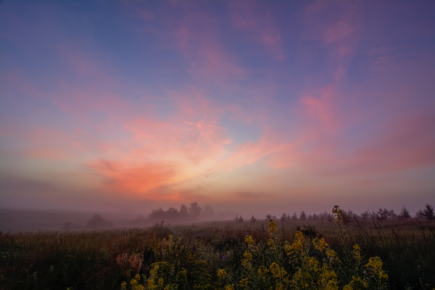 рассвет у ручья