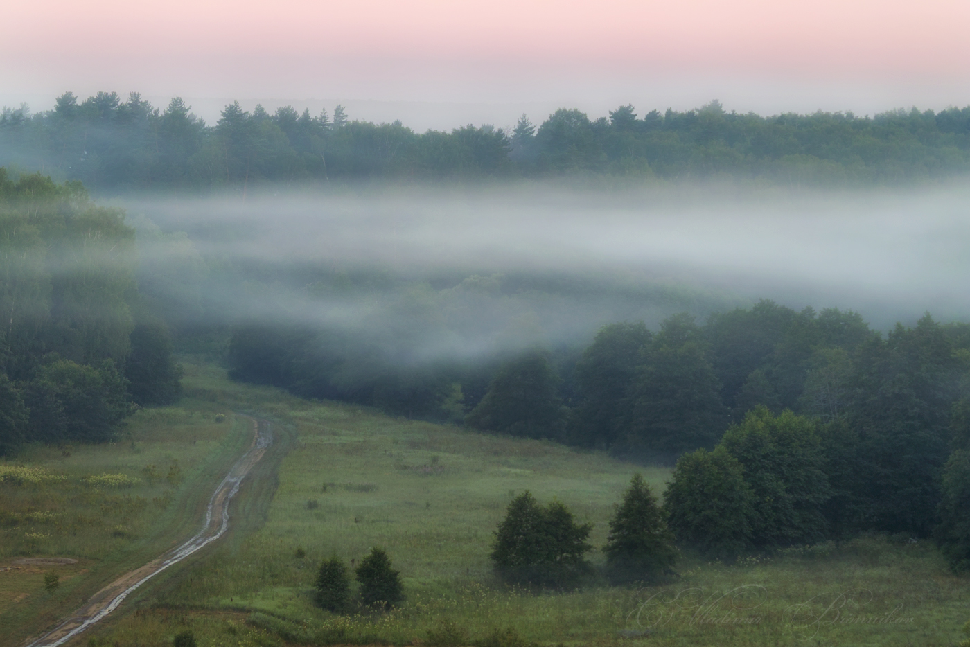 Плыл по воздуху туман