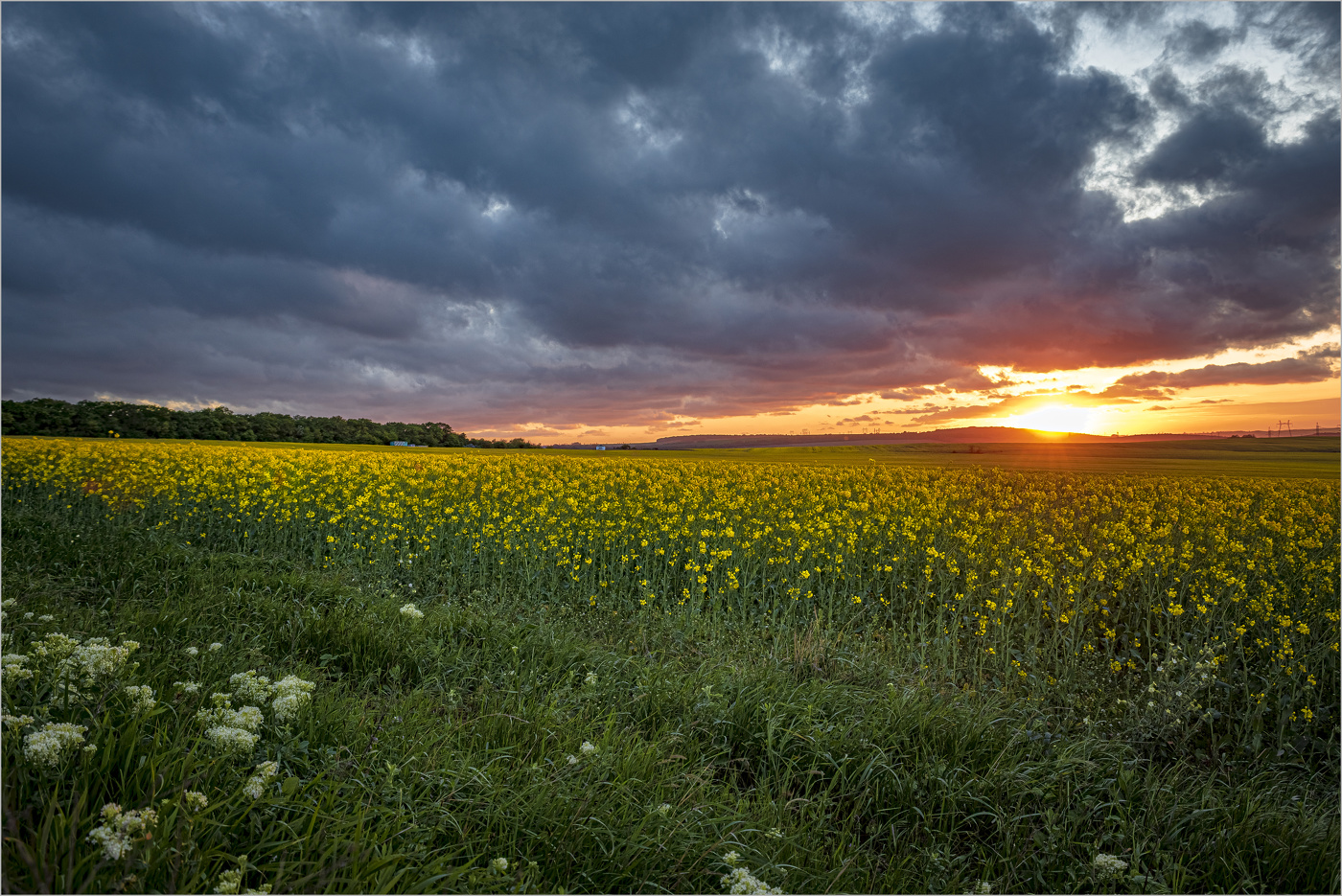 Вечерняя зорька