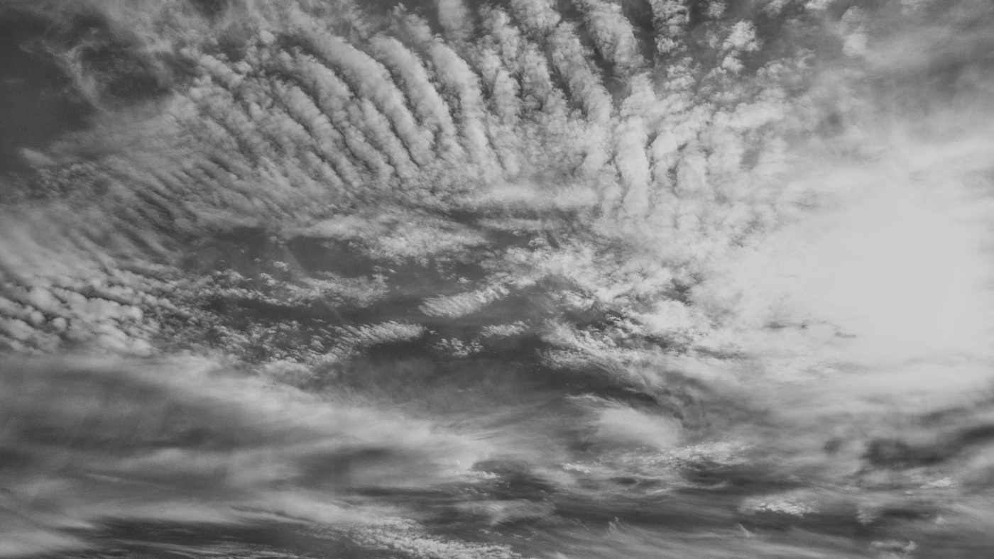 Жизнь вокруг